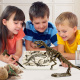Aga4Kids Set für kleine Paläontologen T-Rex