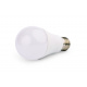 LED Leuchtmittel Ersatz LED-Glühbirnen ECOlight - E27 - 10W - 800Lm - kaltweiß, LED Leuchtmittel, LED Lampe, LED Glühbirne, LED Birne