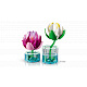 LEGO® Botanicals 11511 Seerosen