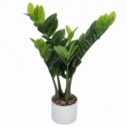 Roślina sztuczna Zamiokulkas w doniczce 60 cm wysokości zielona JAK ŻYWA Roślina sztuczna Zamiokulkas w doniczce 60 cm wysokości zielona JAK ŻYWA