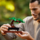 LEGO® Botanicals 10281 Bonsai Baum