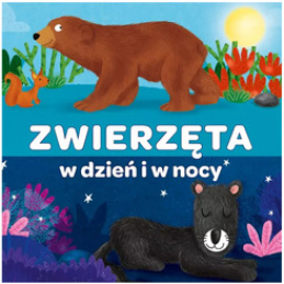 Kapita Nauka Książeczka harmonijkowa Zwierzęta w dzień i w nocy KS1222 uniwersalny
