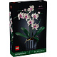 LEGO® Botanicals 10311 Orchidee