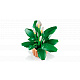 LEGO® Botanicals 11504 Friedenslilie