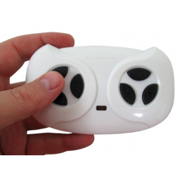 Pilot 2.4 G, Pojazd na akumulator, Akcesoria, model do GTR-s