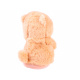 Interaktiver Teddybär wiederholt das Sprechen ZA3553