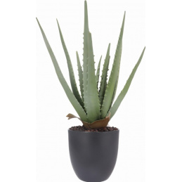 Roślina sztuczna Aloes w doniczce 45 cm wysokości zielona JAK ŻYWA