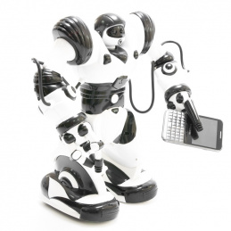 B12A ROBOT R/C HUMANOIDALNY ROBOSAPIEN B12A ROBOT R/C HUMANOIDALNY ROBOSAPIEN