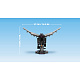 LEGO® Minecraft 21595 Der Enderdrache