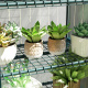 Aga Garten Folientunnel DSA2323