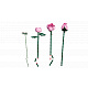 LEGO® Botanicals 10374 Rosa Rosenstrauß