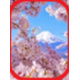 Aga Diamant Painting 5D Diamant Gemälde Kreuzstich "Kirschblüten" 3D Diamant Mosaik Strass Landschaft Diamant Stickerei Landschaft
