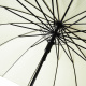 Aga Regenschirm, Klappschirm mit Automatik-Öffnung,  105 cm Grün, Stockschirm