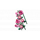 LEGO® Botanicals 10374 Rosa Rosenstrauß