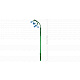 LEGO® Botanicals 10347 Kleiner Sommerstrauß