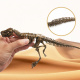 Aga4Kids Set für kleine Paläontologen T-Rex