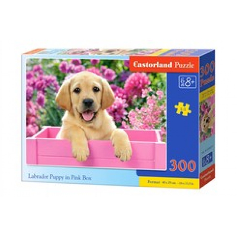 CASTORLAND Puzzle 300 Teile - Labrador Welpe