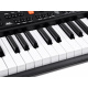 Orgel mit Mikrofon SD-S850 61 Tasten IN0143