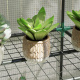 Aga Garten Folientunnel DSA2330