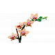 LEGO® Botanicals 10343 Mini-Orchidee