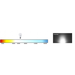 10x LED-Glühbirne - GU10 - ECOPLANET - 10W - 900Lm - kaltweiß