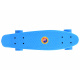 FISZKA Farbe Skateboard SP0575