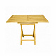 Linder Exclusiv Gartentisch aus Teakholz,Klappbarer T14C 110x70x75 cm