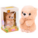 Interaktiver Teddybär wiederholt das Sprechen ZA3553