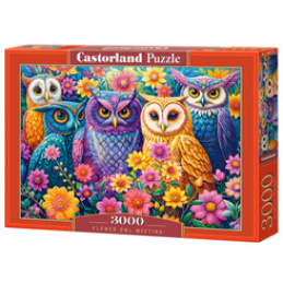 Puzzle 3000-elementów Flower Owl Meeting C-300723-2 uniwersalny
