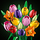 LEGO® Botanicals 11501 Tulpenstrauß