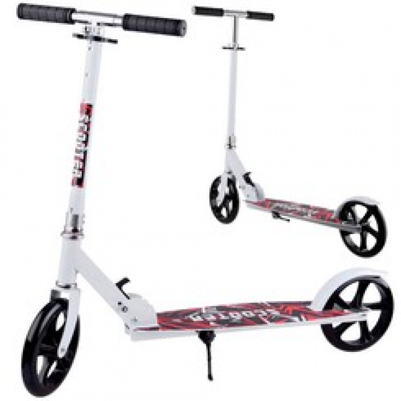 Große städtische faltbare Roller 100 kg SP0718 BI universal