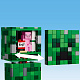 LEGO® Minecraft 21276 Der Creeper™