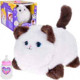 Interaktywny kotek PUSZEK - miauczy mruczy i rusza oczkami + nagrywa ZA5480 uniwersalny