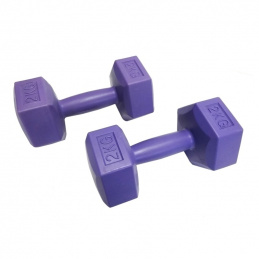 F18B HANTLE CIĘŻARKI DO ĆWICZEŃ 2X2KG