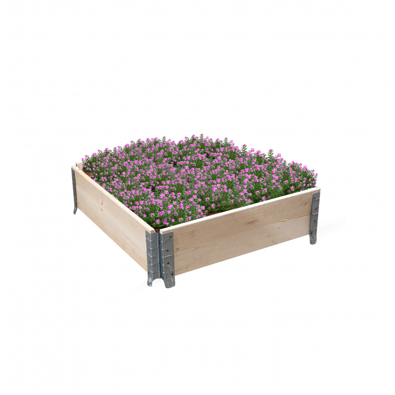 Aga Hochbeet  für Pflanzen 80x60x20 cm