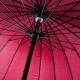 Aga Regenschirm, Klappschirm mit Automatik-Öffnung,  115 cm Rot, Stockschirm