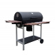 Aga Gartengrill PROFESSIONAL BBQ 3038A