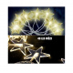 Linder Exclusiv Lichterkette Weihnachtskette 48 LED Sterne Warm weiß