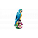 LEGO® Creator 31136 Exotischer Papagei