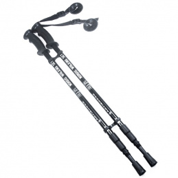 K466 2SZT KIJKI NORDIC WALKING
