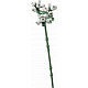 LEGO® Botanicals 10328 Rosenstrauß
