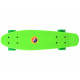 FISZKA Farbe Skateboard SP0575