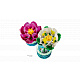 LEGO® Botanicals 11511 Seerosen