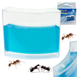 Aga Educational Gel Aquarium für Ameisen