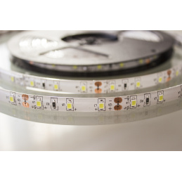 LED-Streifen LED-Stripe LED-Band - SMD 2835 - 5m - 60LED/m - 10,8W/m - 24V - IP65 - kaltweiß