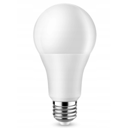 LED-Glühbirne - E27 - A80 - 20W - 1800Lm - kaltweiß