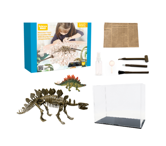 Aga4Kids Set für kleine Paläontologen Stegosaurus